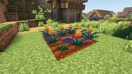 Growing torchflowers (Image via Mojang)